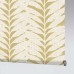 Acacia Blackout Caraway Acacia Blackout Caraway