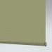Palette Green Palette Green