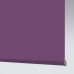 Palette Iris