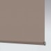 Palette Sand