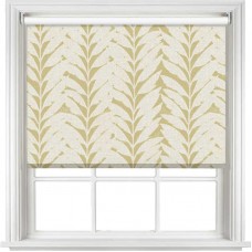 Acacia Blackout Caraway