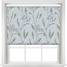 Chrysanthemum Blackout Lakes