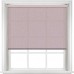 Dawn Sweet Lilac