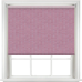 Floyd ASC Fuchsia