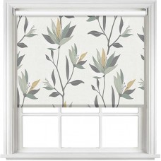 Lily Mellow Sage