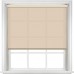 Palette Almond Palette Almond