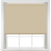 Palette Biscotti