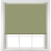 Palette Green Palette Green