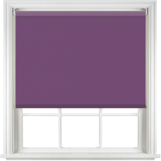 Palette Iris