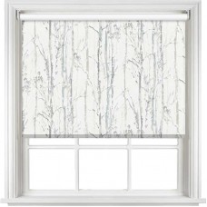 Swedish Birch Silver