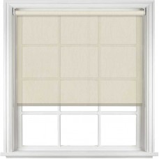 Tulip Cream Tulip Cream